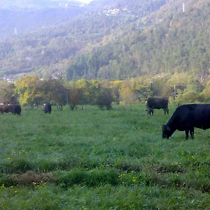 Bauernhof Agriturismo Biobio 